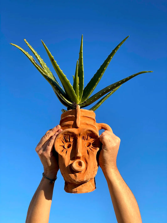 Sasà